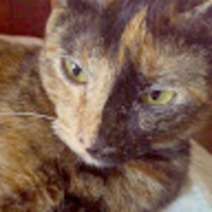 Meet your Posher, Jasmin